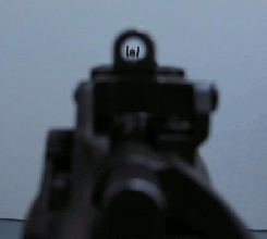 Lee Enfield sight picture 1